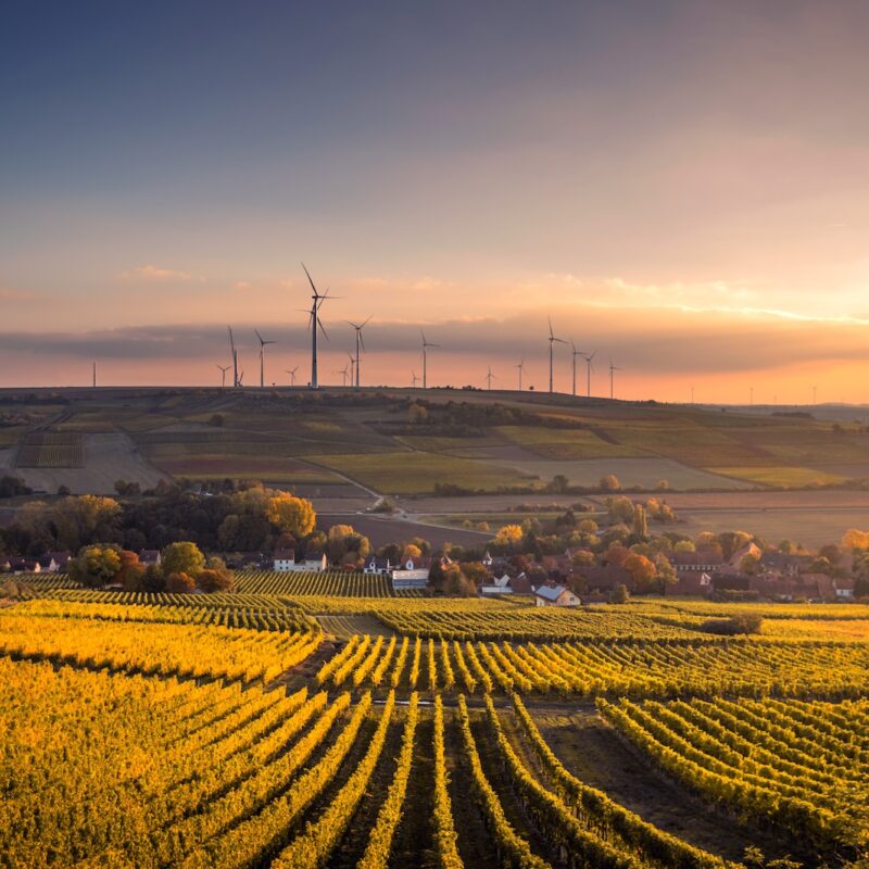 structural shot of wind mills during daytime